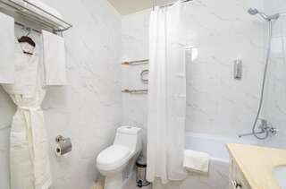 Отель Gold Boutique Hotel Алматы Большой двухместный номер с 1 кроватью или 2 отдельными кроватями-5