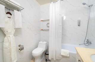 Отель Gold Boutique Hotel Алматы Большой двухместный номер с 1 кроватью или 2 отдельными кроватями-11